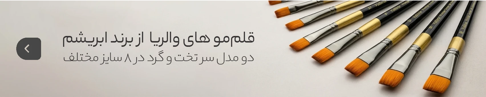 Banner 1
